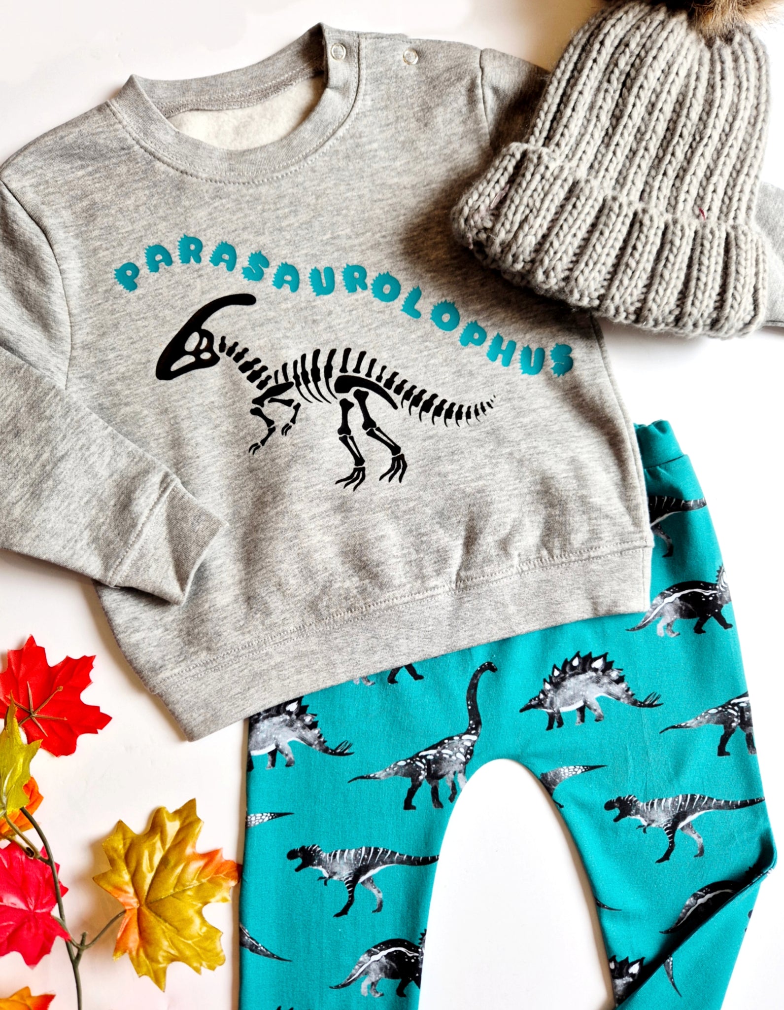 Kids Dinosaur T-Rex/Velociraptor/Parasaurolophus Sweatshirt-New Design!